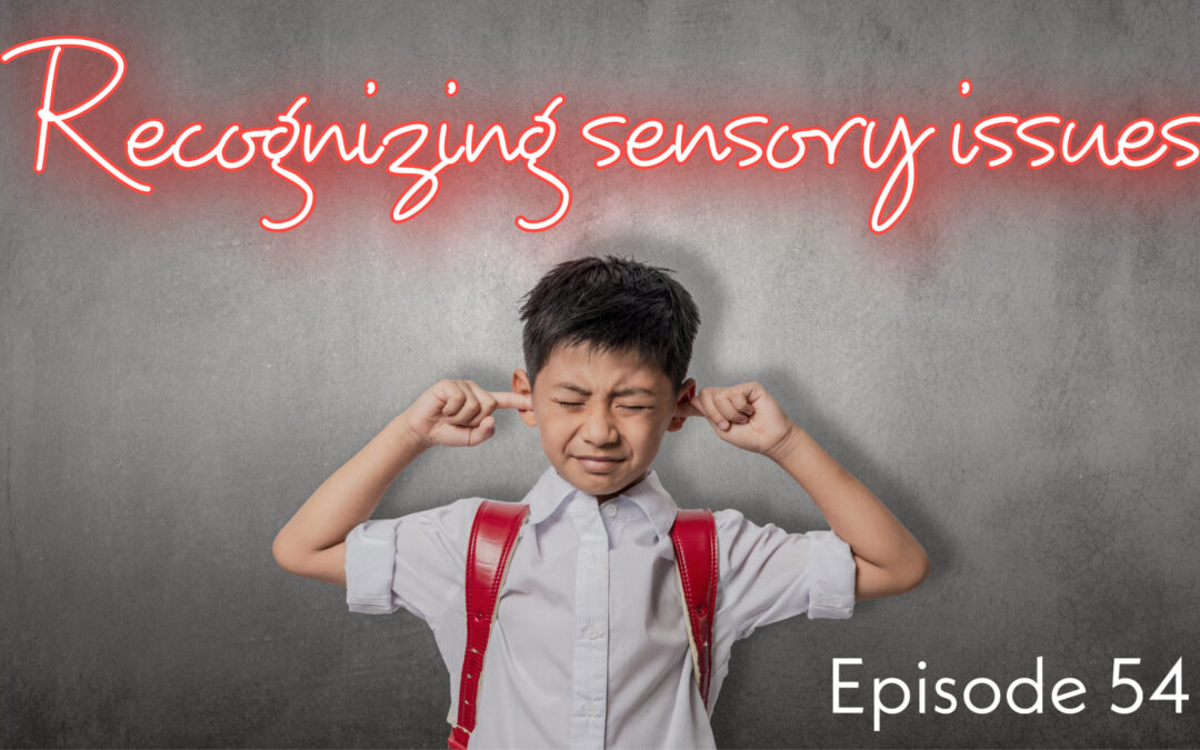 Recognizing sensory issues